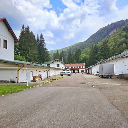 Pensiunea Rhein アズガ エクステリア 写真