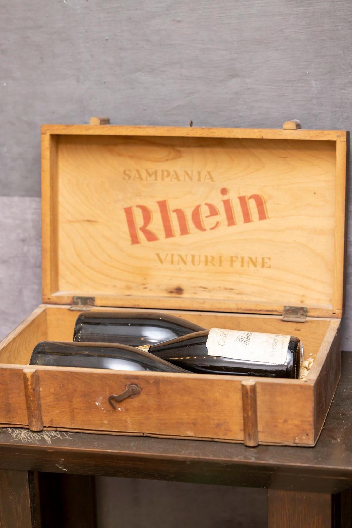 Pensiunea Rhein アズガ エクステリア 写真