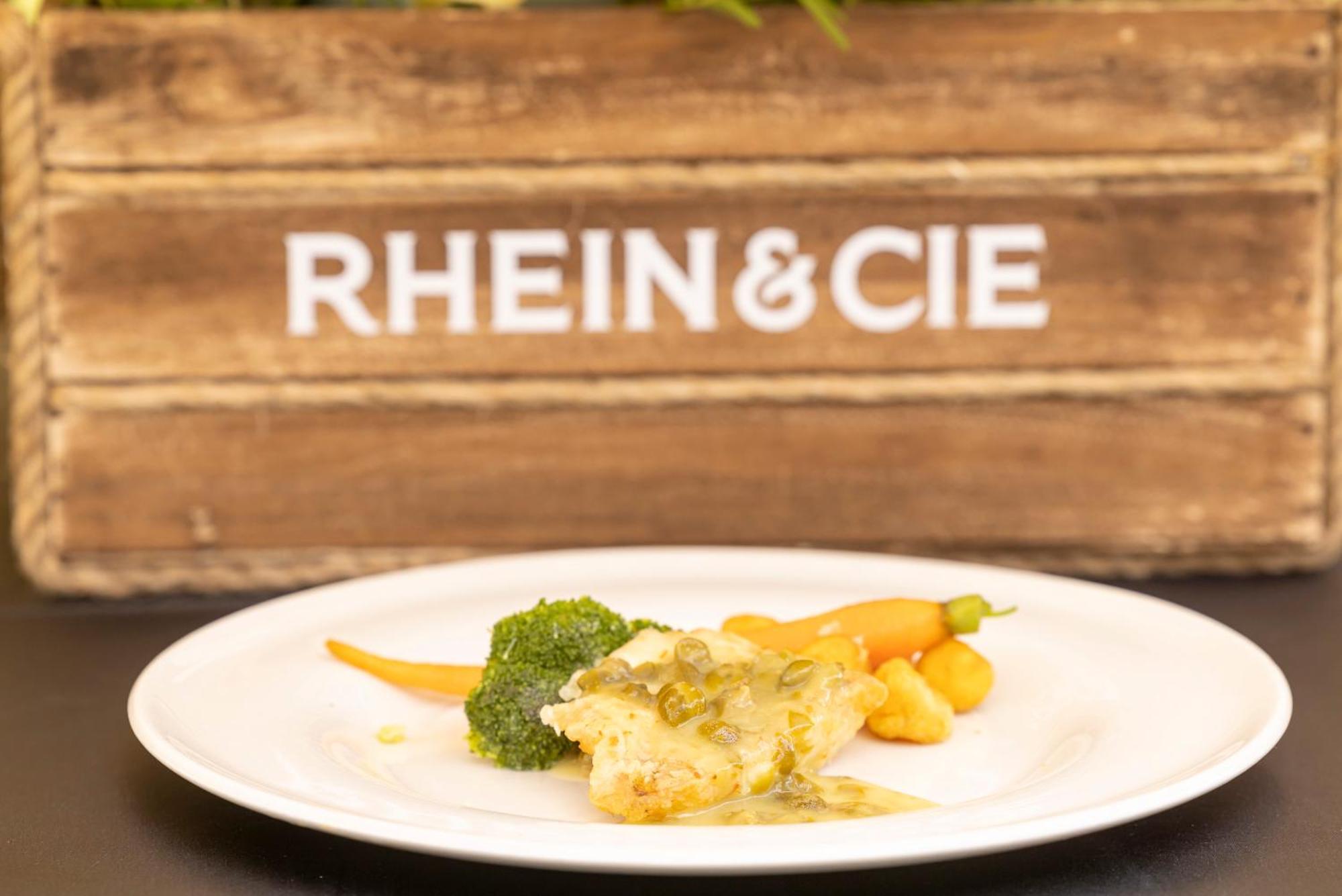 Pensiunea Rhein アズガ エクステリア 写真