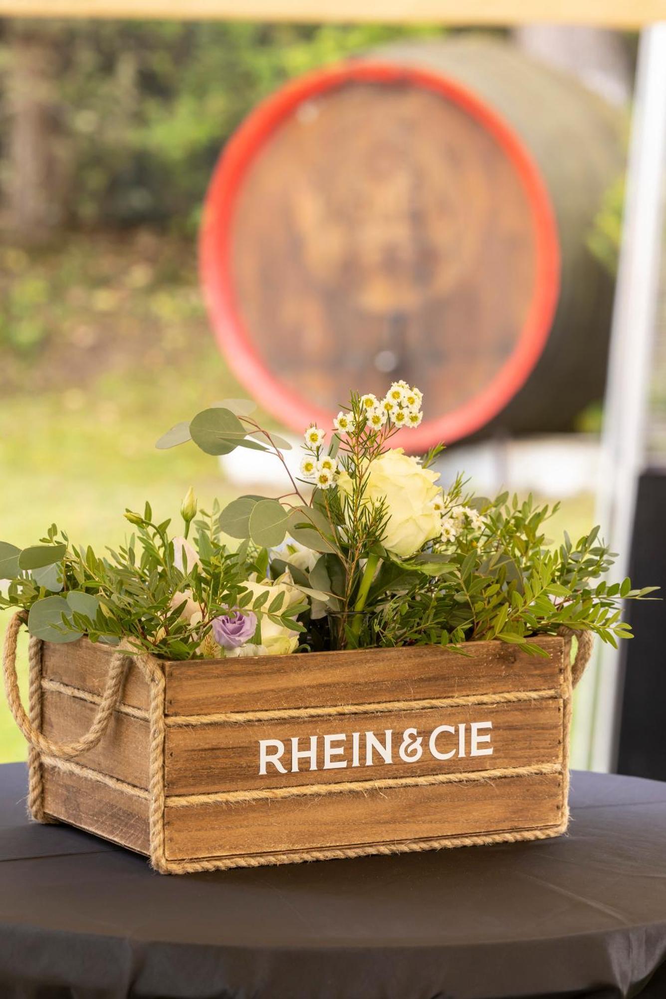 Pensiunea Rhein アズガ エクステリア 写真