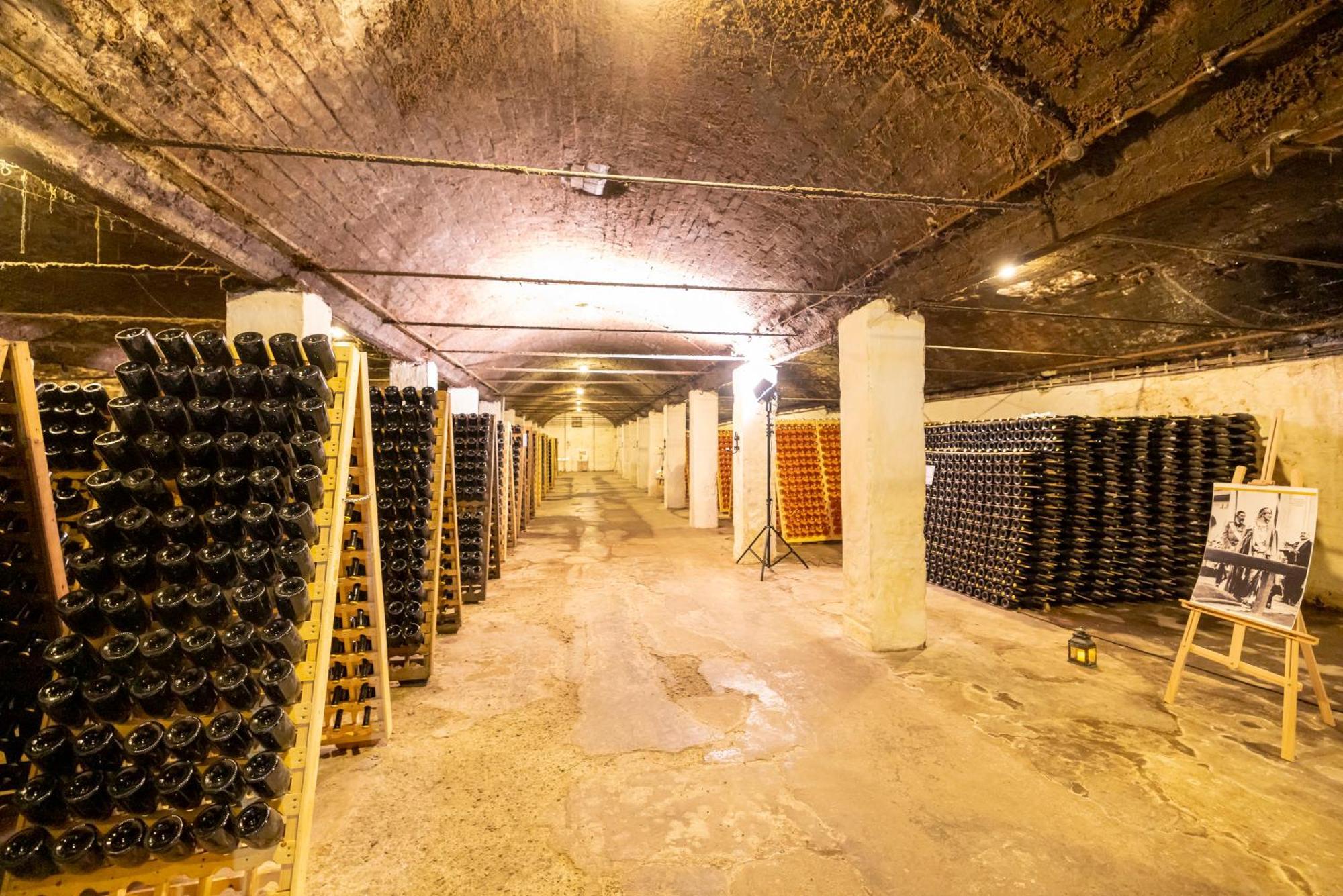 Pensiunea Rhein アズガ エクステリア 写真