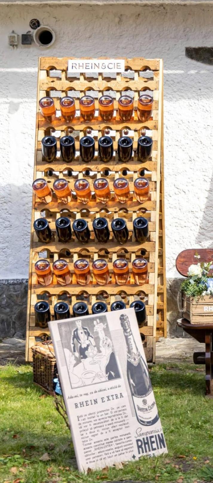 Pensiunea Rhein アズガ エクステリア 写真