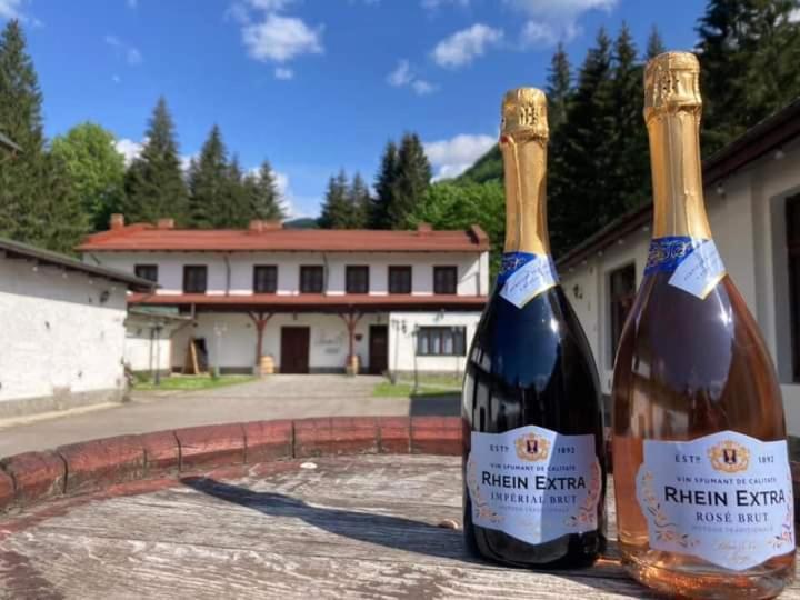 Pensiunea Rhein アズガ エクステリア 写真