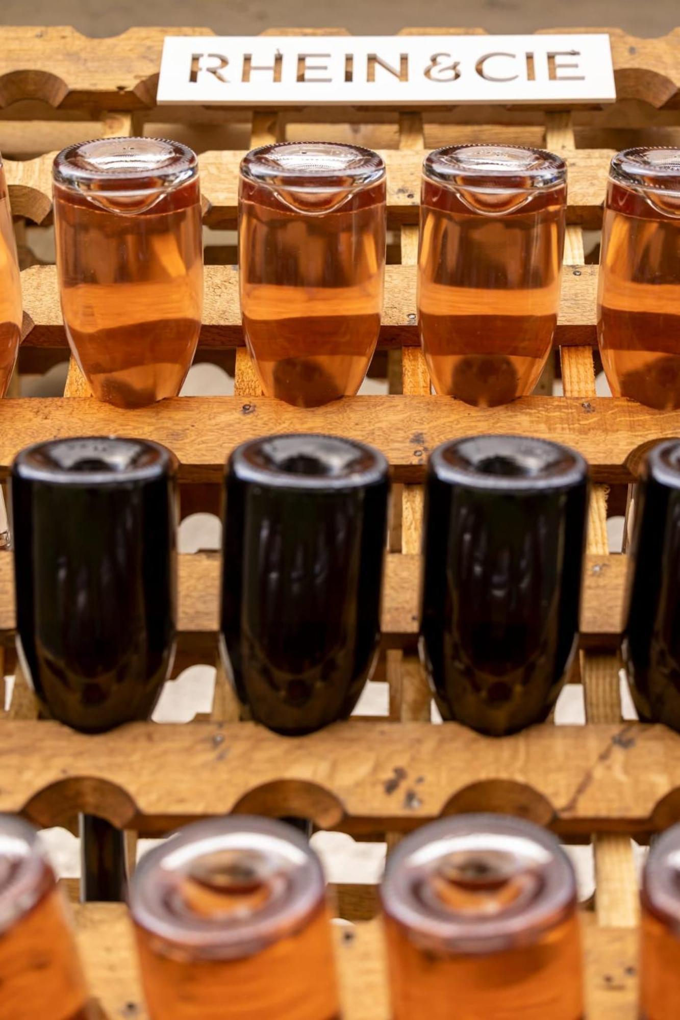 Pensiunea Rhein アズガ エクステリア 写真